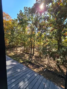 Pine Knot: Serene Woodland Retreat - Image 2