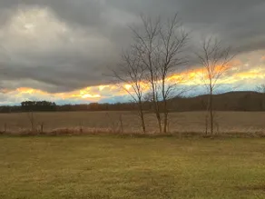 Wildwood Retreat - Image 3