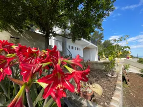 Casa Murta, Mediterranean charm - Image 5