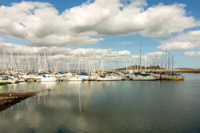 Modern Studio - Steps from Marina - Image 3