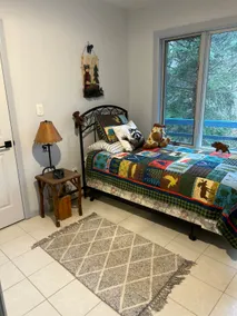 Adirondack getaway - Image 4