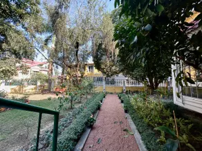 Modern bungalow hugged by trees - Image 5
