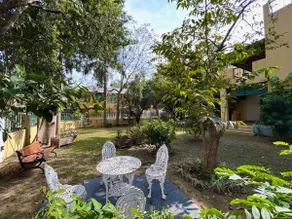 Modern bungalow hugged by trees - Image 3