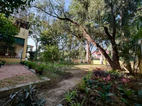 Modern bungalow hugged by trees - Image 4