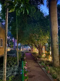Modern bungalow hugged by trees - Image 2