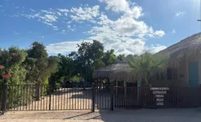 Coconut - Image 5
