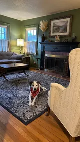 Pet-Friendly Fenced Yard, Walk Downtown - Image 2