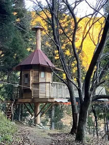 550m Cool Forest｜BBQ, Bonfire, Treehouse - Image 4