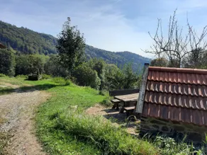 Kas Alm am Grandsberg - Image 5