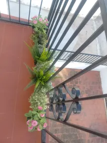 Number - Image 4