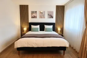 Top duplex Apartment Zurich-Limmattal - Image 4