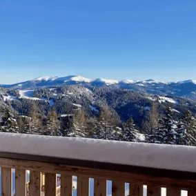 Chalet in Bad Leonhard near Klippitztörl Slopes - Image 2