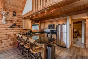 Cozy Log Home on 50 Acres - Image 4