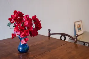Nona's House - Image 4