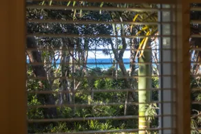 Driftwood on Home Beach - Absolute Beachfront - Image 2