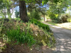Riverrun Cottage - Image 4