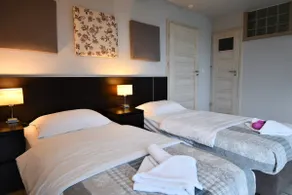 6-Modern room for 3 people. Deluxe with bathroom, fridge - Image 4