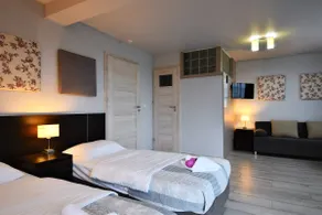 6-Modern room for 3 people. Deluxe with bathroom, fridge - Image 5