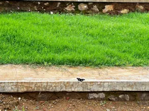 Aanandee Villa - Image 5