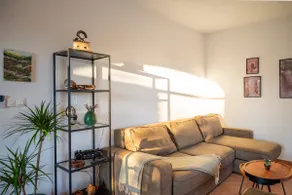 Olive house Rezo - Image 5