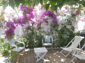Au coeur de Calvi, Maison de charme, Jardin, à 150 mètres d'une petite plage . - Image 4