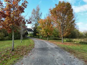 Trailside Cottage on Darling Hill - Image 2