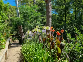 Dromana TreeHouse with Sea Views - Image 2