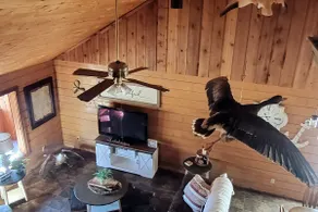 The Lodge-Uncertain Lodge and Inn; Breathtaking Cabin That Sleeps 10 - Image 5