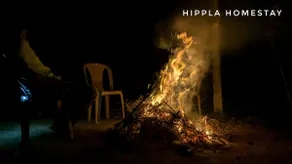 Coffee Charm stay - (Hippla plantation stay) - Image 2