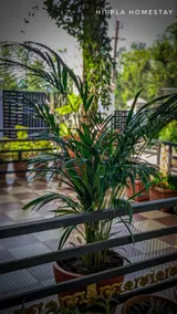 Coffee Charm stay - (Hippla plantation stay) - Image 3