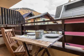 Ski Storage • Aprica Tiny Flat • Alloggiare APT - Image 2