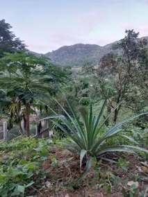 ”La Higuera” Studio - Image 5