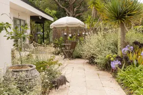 Jungle Farm Studio - Private Quiet Home Near Beach - Image 3