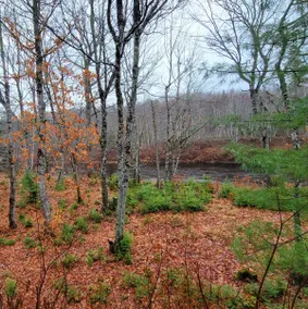 Hunters Lodge - Image 5
