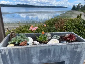Cozy beach cottage near Port Townsend! - Image 4