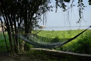 Vanam by the Lake, Alleppey - Image 2