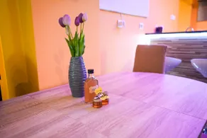 Honey Apartment Lendava - Image 4