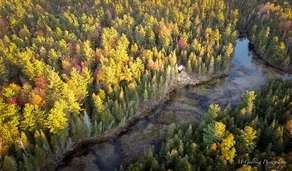 White Pine Acres Off grid cabin (solar) - Image 5