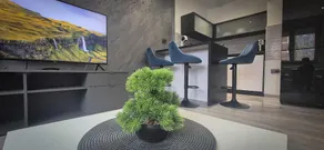 Space Of Comfort - Image 5