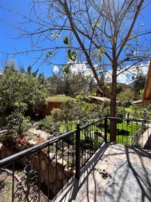 Boutique Houses: Refuge and Nature - Image 5