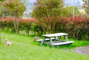 Nice cabin, beautiful, quiet view, easy access - Image 4