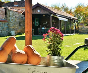 The Village Cottage - Image 5
