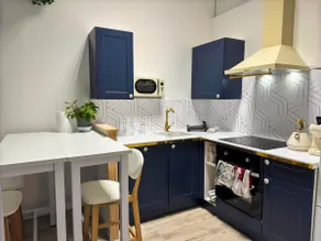 Renovated 2-bedroom apartment with terrace - Image 4