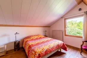 Nature stay at the Shed - Image 3