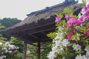 Satoyama Retreat Tayumu ｜A Calm Stay in Rural Gose - Image 3