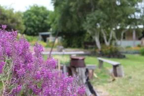 12 Apostles Coastal Escape Lodge 4 - Image 2