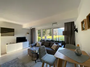 Modern apartment in Willingen right on the Skywalk - Image 4