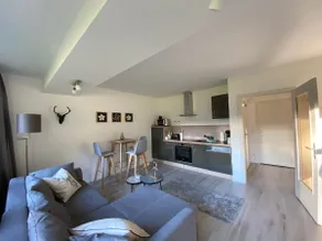Modern apartment in Willingen right on the Skywalk - Image 3