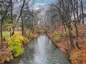 3 BRM Quiet Retreat Near Blossom - Image 3