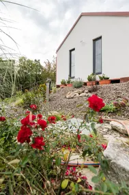 Sukorose Jacuzzi Guesthouse - Image 2